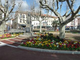 Stunning Provencal 3BD Villa in Montauroux - Montauroux - 5