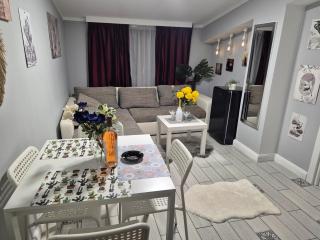 BELLA Luxury Penthouse with outside JACUZZI and Barbecue area - Craiova - 7