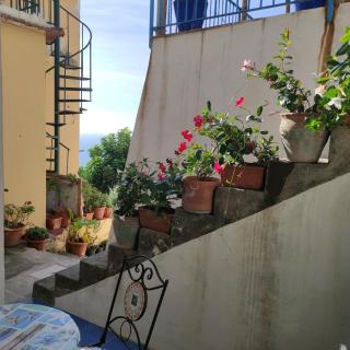 Rifugio Stellato - 0