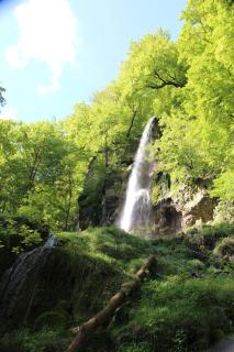 Hotel Graf Eberhard - Bad Urach - 3