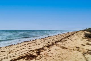 The Ocean Breeze Retreat - Telchac Puerto - 9