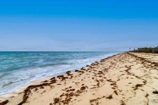 The Ocean Breeze Retreat - Telchac Puerto - 7