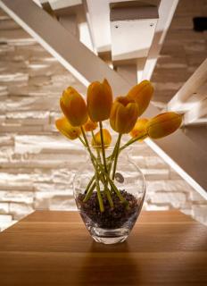 My Cozy Home - Brindisi - 8