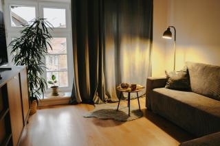 Szeroka 32 Studio - Toruń - 8