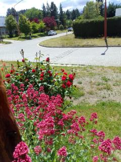 CABAÑAS EL PALENQUE - 3