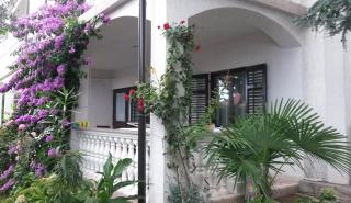 Apartments Golub - Krk - 1