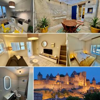Numérobis - Carcassonne - 2