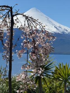 Casa EL CIERVO, Los Riscos, Puerto Varas - Puerto Varas - 2
