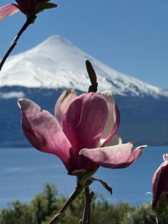 Casa EL CIERVO, Los Riscos, Puerto Varas - Puerto Varas - 3