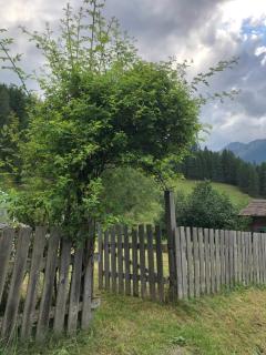 Zirkenhof - 8