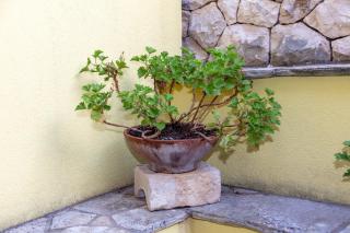 Apartments by the sea Prigradica, Korcula - 544 - Blato - 3