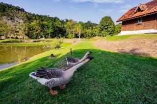 Recanto das Águas - Chalés no meio da Mata Atlântica - Eldorado - 3