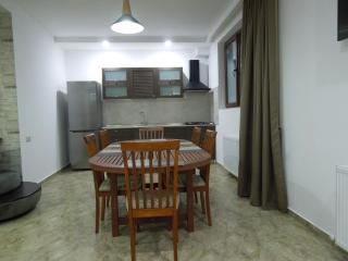 Villa Didveli Bakuriani - Bakuriani - 7