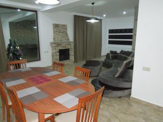 Villa Didveli Bakuriani - Bakuriani - 1