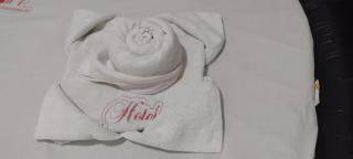 Hotel canal samambaia - 2