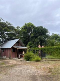 Nosara Hemp House - Nosara - 8
