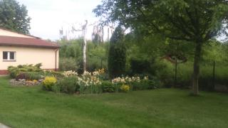 Apartamenty Warka - 8