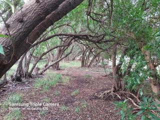 Mar del Plata- Playa Chapadmalal- Finca Viento Norte UNA CABAÑA HASTA 5 HUESPEDES Y UN DORMI CON BAÑO PRIVADO ATRAS HASTA 2 HUESPEDES - 6