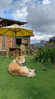 Cabañas la odisea - Subachoque - 9