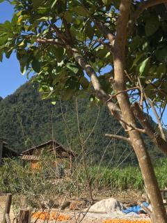 Hoàng Thái HomeStay - Cao Bằng - 3