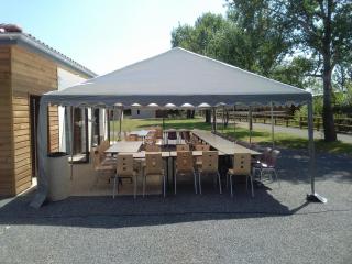Chalets confortables en bord d'étang avec terrasse, parc, activités et spa optionnel ! - FR-1-496-77 - Veauchette - 9