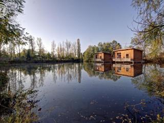 Chalets confortables en bord d'étang, parfaits pour pêche et nature, avec terrasse et équipements modernes - FR-1-496-83 - Veauchette - 9