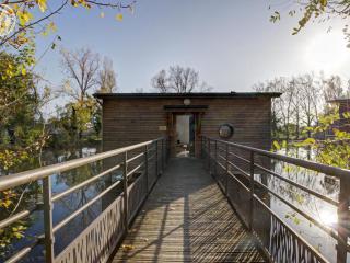 Chalets confortables en bord d'étang, parfaits pour pêche et nature, avec terrasse et équipements modernes - FR-1-496-83 - Veauchette - 8
