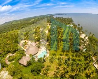 Casa Los Cocoteros - 3