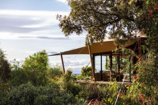 The Enchanted Retreat - Unforgettable Luxury Glamping - Havelock North - 0