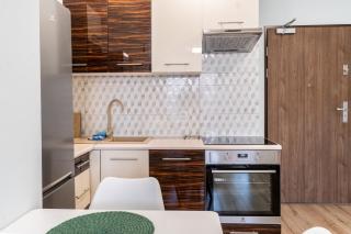 Silesia City Centre Apartment - Katowice - 5