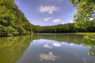 Lakeview Retreat - Ellijay - 8
