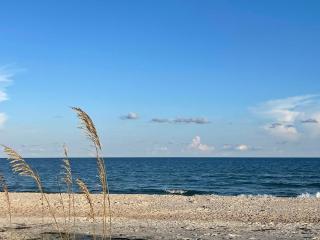 Sunflower 2, Beachfront Apt, pets allowed - St. George Island - 1