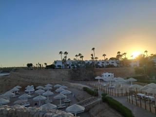 Roby acqua marine Coral bay - 8