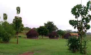 Grassroots Cottages Murchsion Falls - Purongo - 4