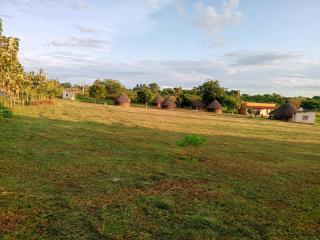 Grassroots Cottages Murchsion Falls - Purongo - 3
