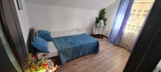 Casa de sub pădure - 1