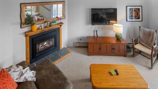 19 North Lynx condo - 8