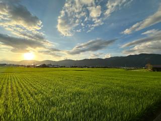 にし阿波ねすと - 3