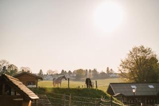 Urlaub im Grünen - Milchküche - Hürtgenwald - 8