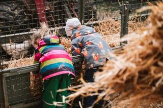 Urlaub im Grünen - Milchküche - Hürtgenwald - 3