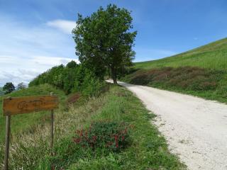 Villa Ca' Doccio Holiday - Auditore - 9