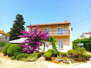 Bošana Beach Apartment Biograd - Biograd na Moru - 0