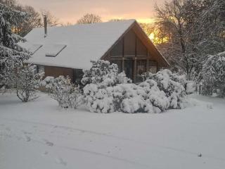 Le Chalet de la Combe Sainte-Anne - Selongey - 7
