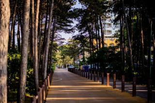 Hotel Colorado - Lignano Sabbiadoro - 9