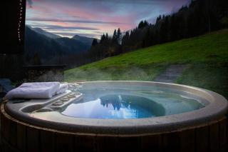 Chalet Les Pellys - OVO Network - Samoëns - 9