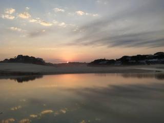 Milkwood Beach House - Seafield - 5
