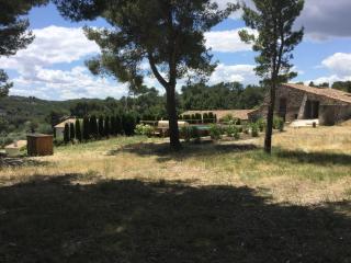 typical provencal farm in an exceptional natural site, the alpilles park - 8 people. - Les Fléchons - 4