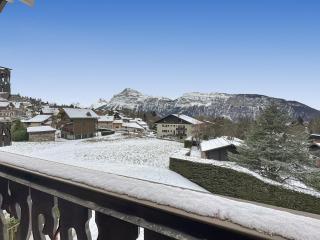 PE319 - Appartement 4-5 pers pied de pistes - Les Carroz-d'Araches - 2