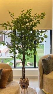 شاليه الغزل - 6