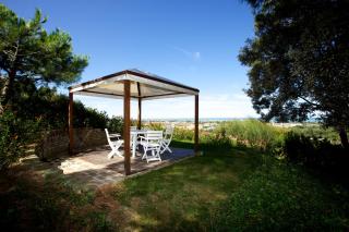 Villa Adele - Senigallia, meravigliosa villa con piscina e giardino - Senigallia - 3